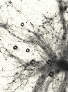 struktury w kosmosie