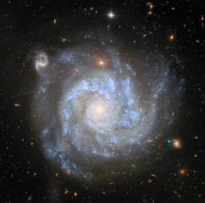 NGC 1309