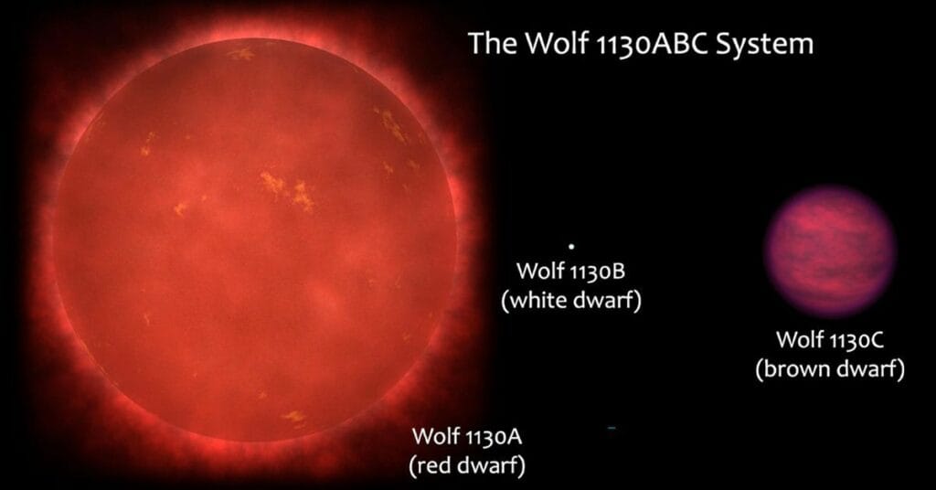 Schemat układu potrójnego Wolf 1130ABC