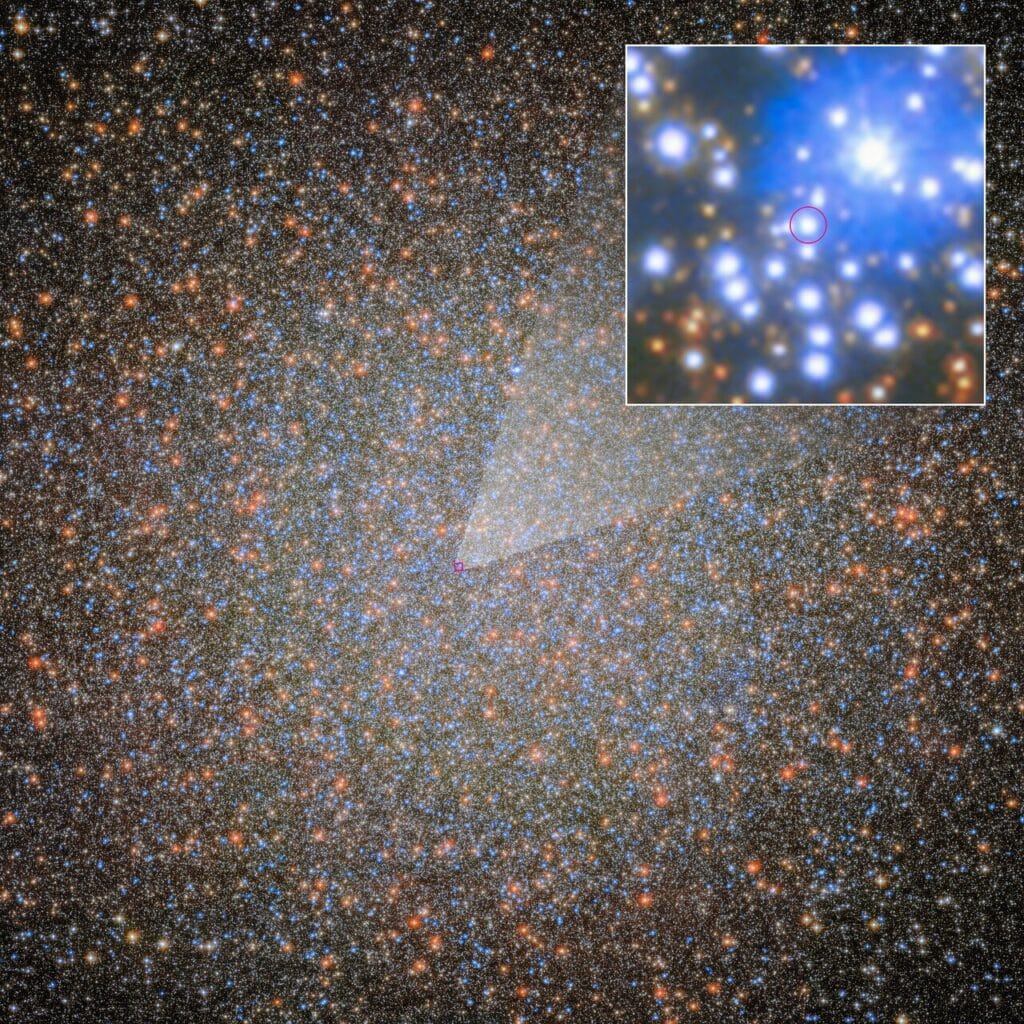 Zdjęcie z Hubble'a przedstawiające gromadę kulistą Omega Centauri, która wygląda jak bardzo gęste pole gwiazd. Niektóre wydają się nieco większe i jaśniejsze od innych, a większość gwiazd ma barwę niebieską, pomarańczową i żółtą. Są one rozproszone w większości równomiernie, niczym ziarenka piasku. W kierunku środka stopniowo się zbliżają, tworząc jaśniejszy obszar w jądrze gromady kulistej. W pobliżu środka znajduje się mała, czerwona, kwadratowa ramka. Łączy się ona z kwadratowym wypustem w prawym górnym rogu, który pokazuje zarys obszaru bardziej szczegółowo. Wśród niebieskich i pomarańczowych gwiazd znajduje się mała, niebiesko-biała kropka, zaznaczona małym, czerwonym kółkiem.