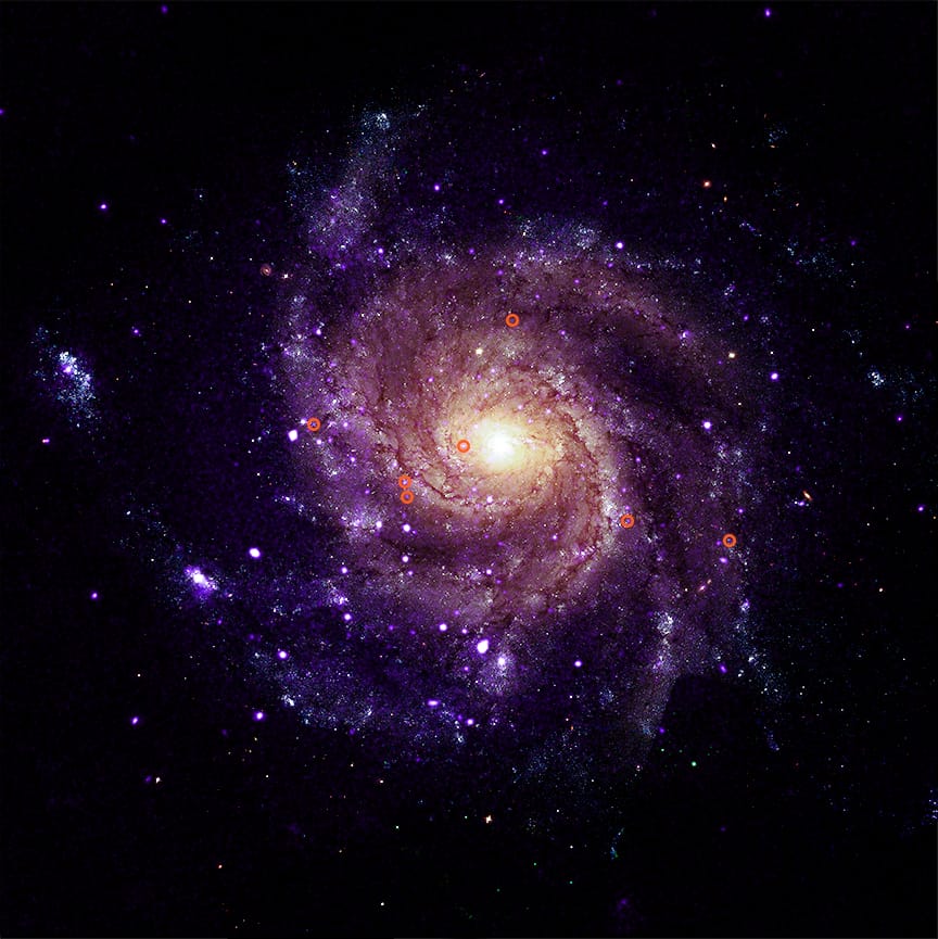 Na obrazie widzimy galaktykę spiralną M101, pokazną z góry, jak świetlisty, wieloramienny wir na czarnym tle kosmosu. W samym centrum znajduje się bardzo jasne, żółtawo-białe jądro, od którego odchodzą liczne ramiona spiralne świecące odcieniami fioletu i różu – to obszary pełne młodych gwiazd i gazu. Tło jest niemal całkowicie czarne, z pojedynczymi drobnymi, fioletowymi punktami symbolizującymi odległe gwiazdy i galaktyki. W kilku miejscach na ramionach spiralnych naniesiono cienkie czerwone okręgi: każdy z nich zaznacza jedno z hipermiękkich źródeł promieniowania rentgenowskiego, odkrytych w danych teleskopu Chandra – są one rozrzucone po różnych częściach galaktyki, głównie w jasnych, gwiazdotwórczych fragmentach jej ramion.